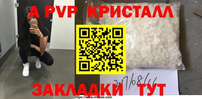 тгк Новозыбков