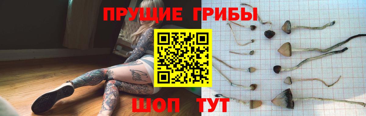 Псилоцибиновые грибы GOLDEN TEACHER  Вход с VPN  Сызрань 